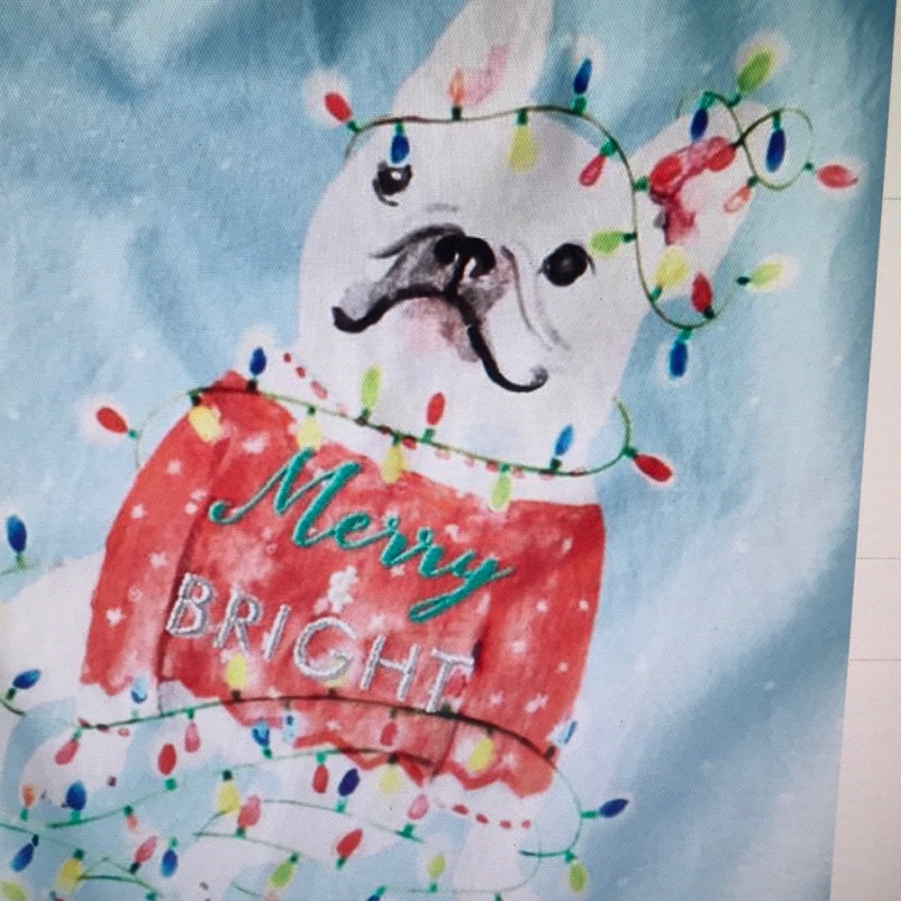 Anthropologie TWINKLE TOES Holiday Dish Towel Frenchie dog Christmas in July NWT